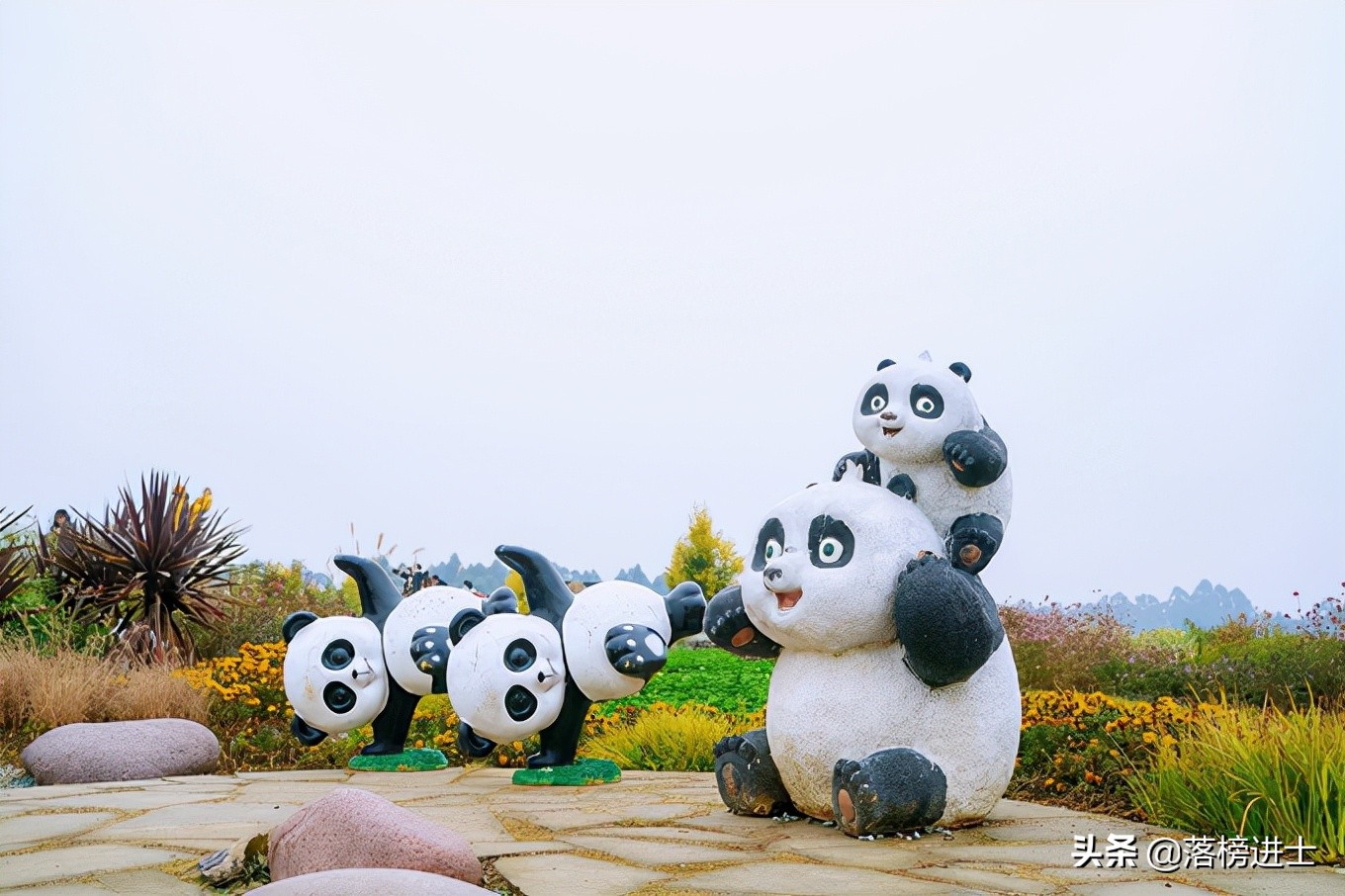 成都双流空港花田看花的时节,成都双流粉黛花海