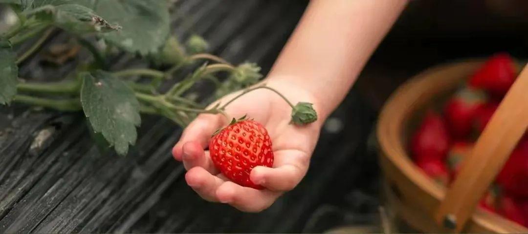 江西婺源三天两晚游最美景点,冬日婺源2天一夜旅游攻略