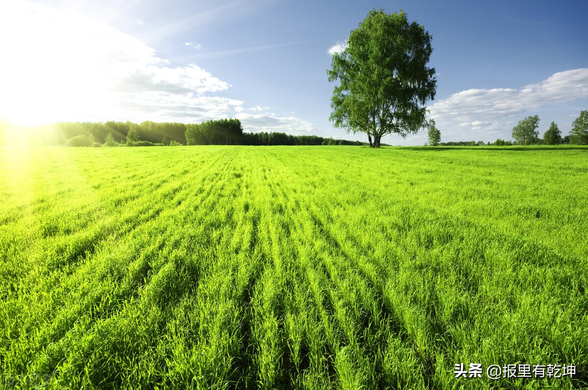 人民日报金句开阔视野,人民日报7字金句展望未来