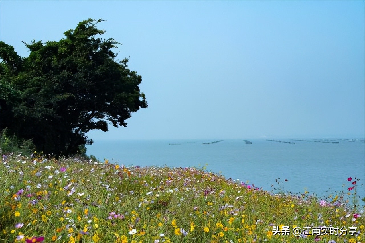 宫崎骏的绝美风景,治愈系宫崎骏夏日风景