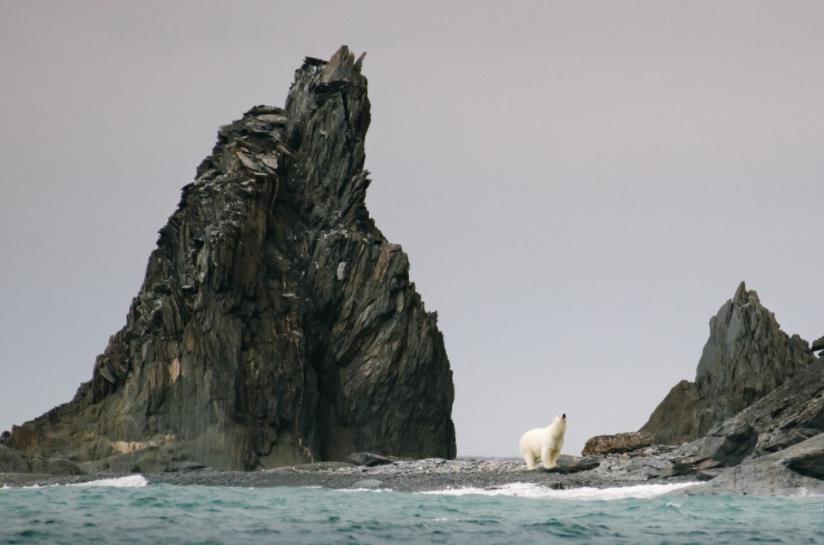 印度男子骑自行车去瑞典,印度男子跨越亚洲找爱情