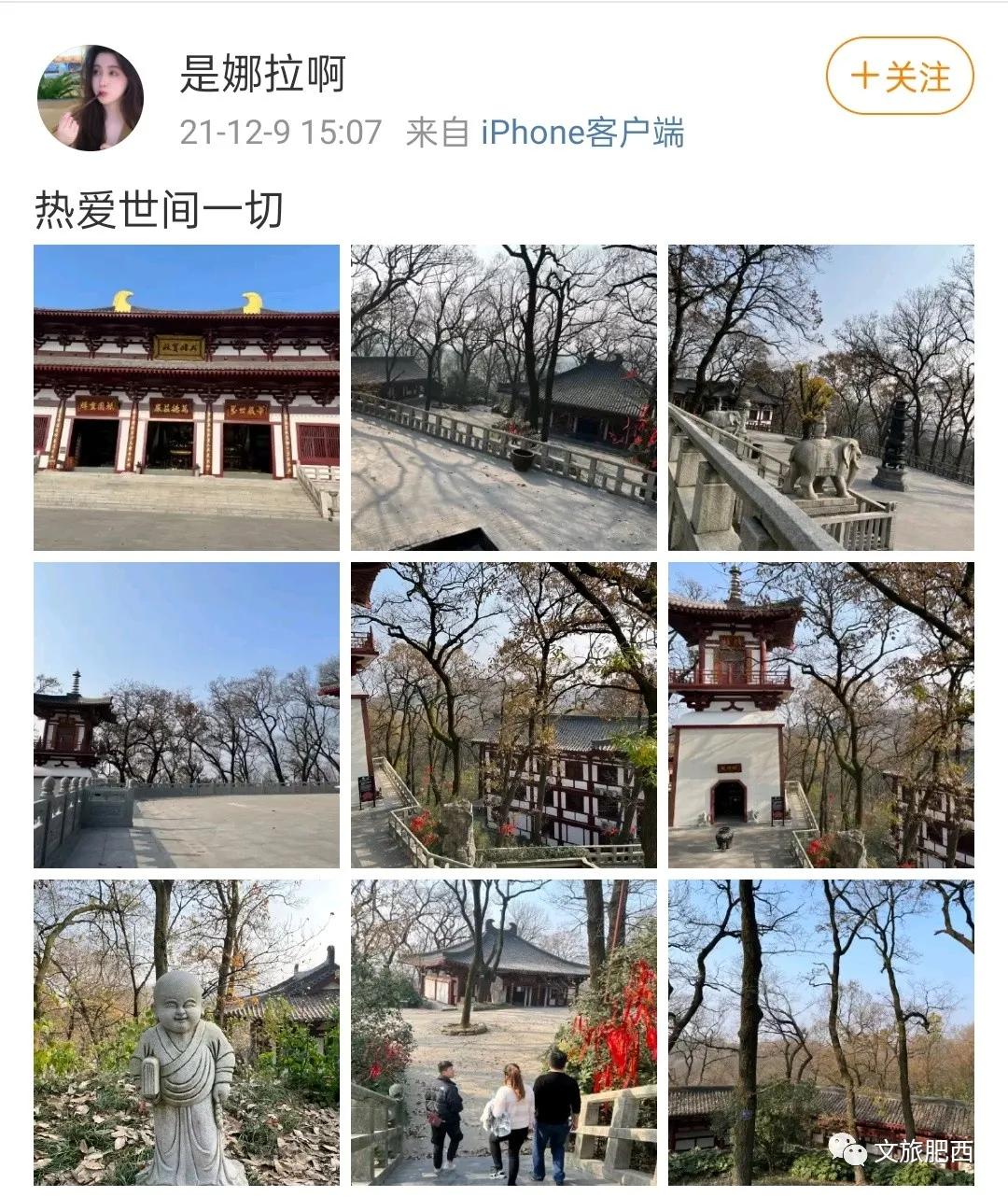 原来，在社交平台中，肥西的真实风景是这样的