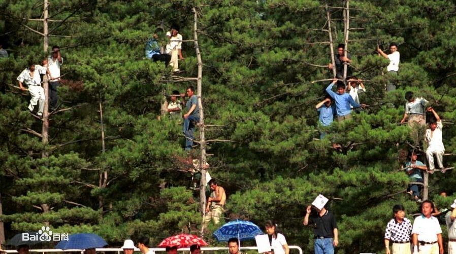 吉林足球,吉林东北虎足球