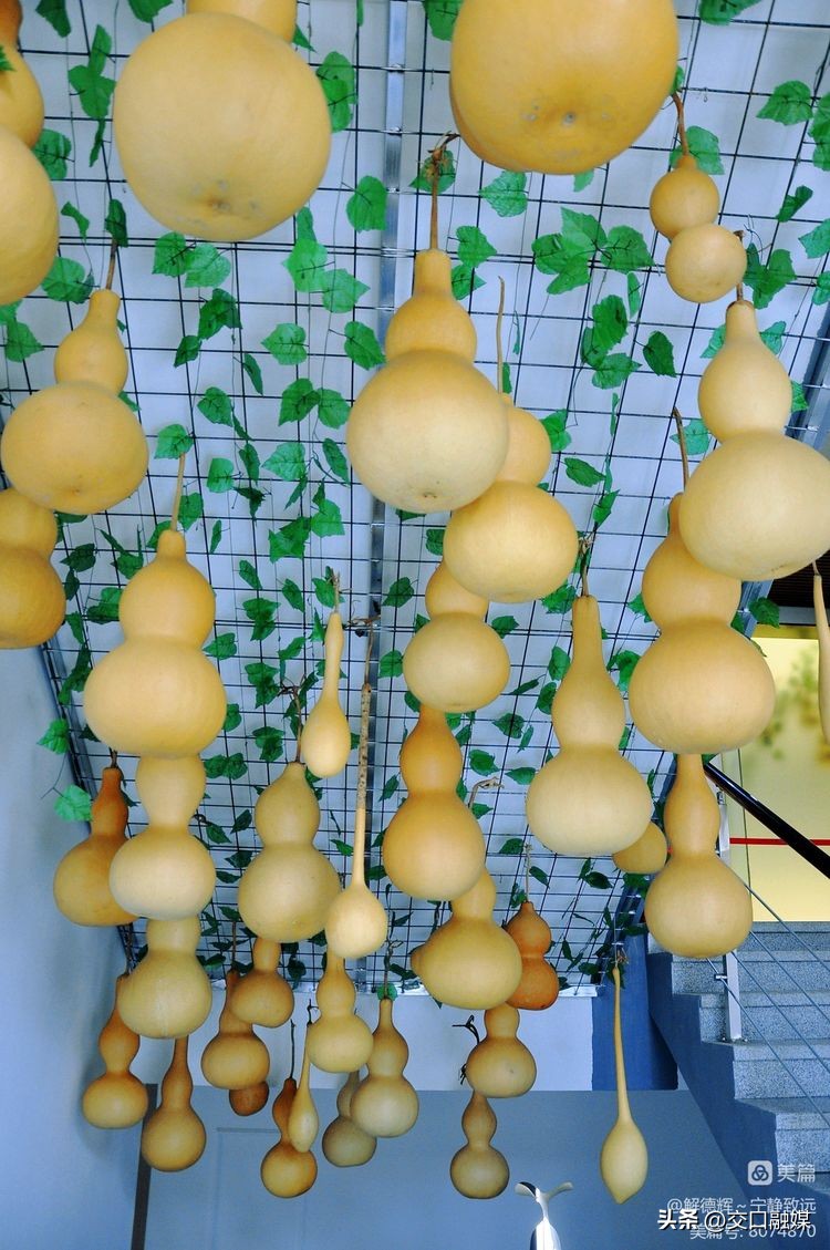 【解德辉~宁静致远】文化园中赏葫芦博物馆里品非遗——吕梁市葫芦文化博物馆纪行