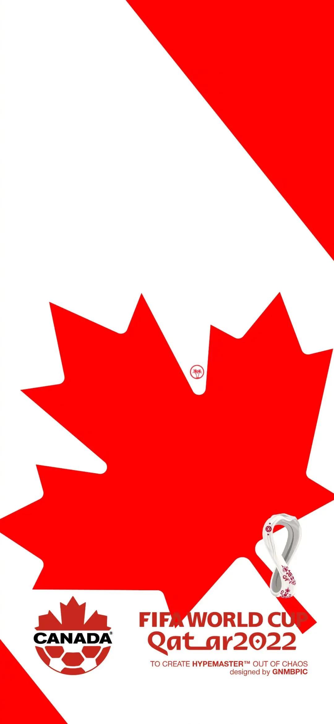 足球壁纸2020年,世界杯足球壁纸手机高清无水印