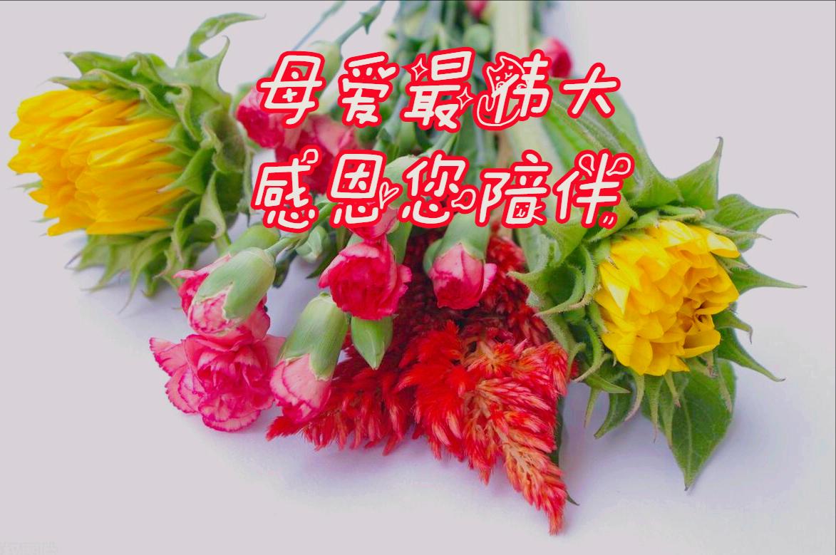 母亲节母爱胜过鲜花的美,感恩母亲节世界上唯有母爱最无私