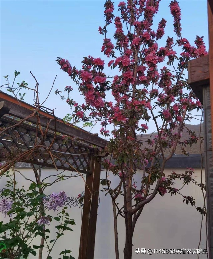 北京密云精品民宿小院,北京密云轻奢民宿