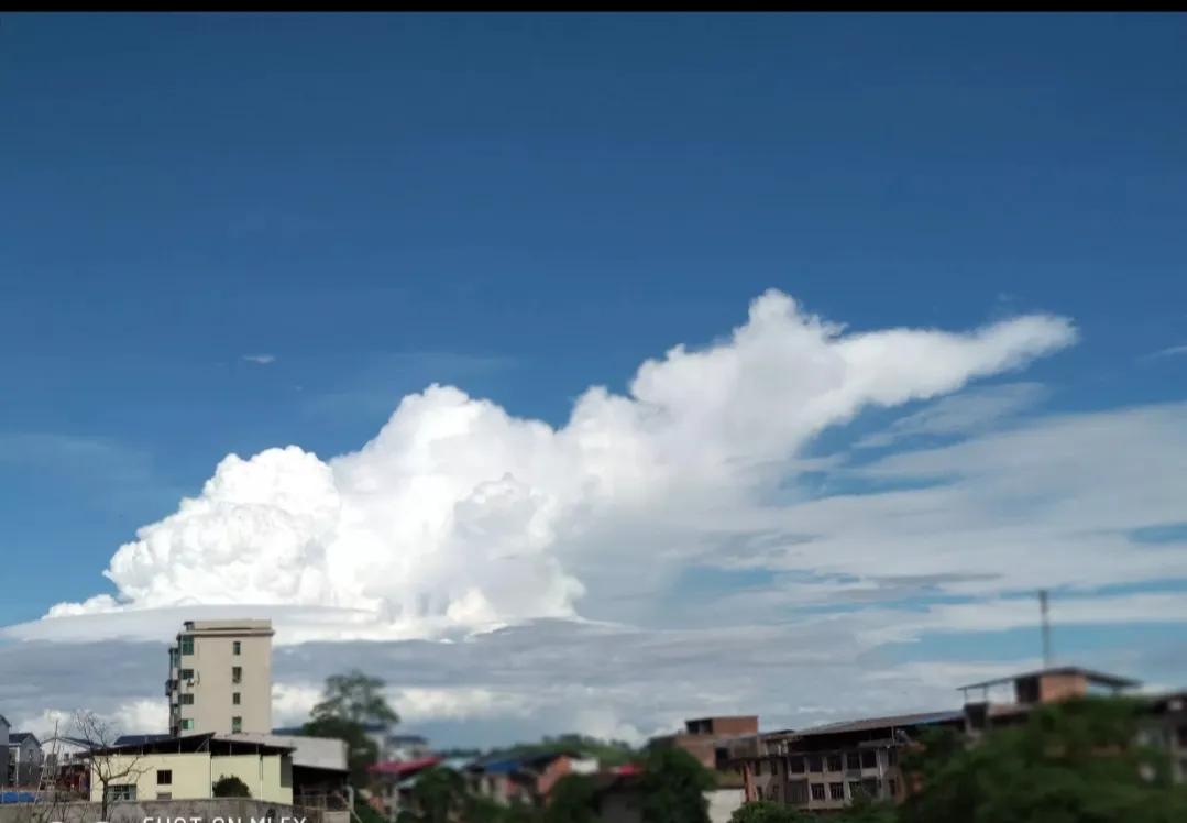 初中生早恋真实故事，30年乡村中学班主任自述，系列连载之六