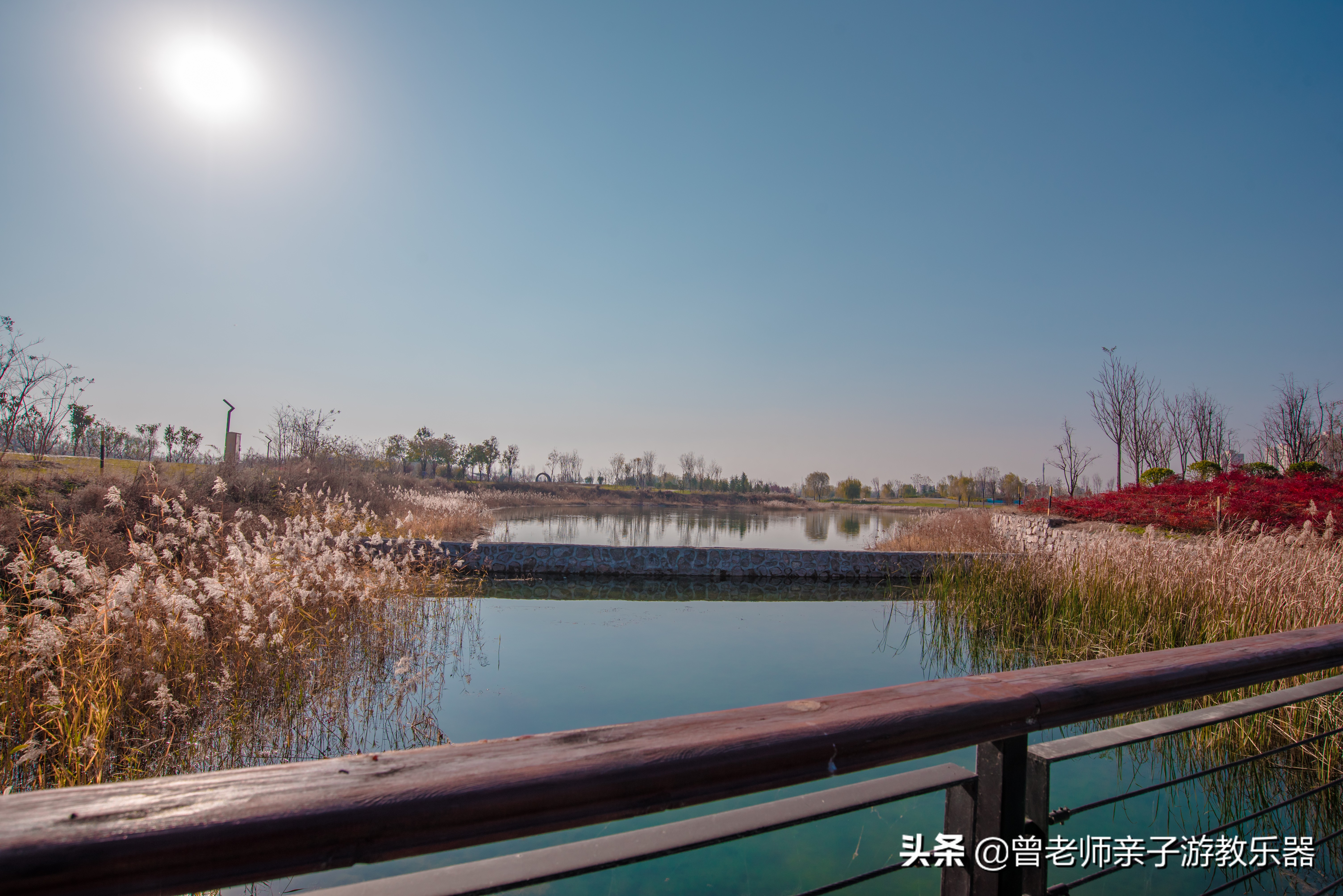 秦汉渭河湿地公园儿童,渭河湿地公园儿童乐园