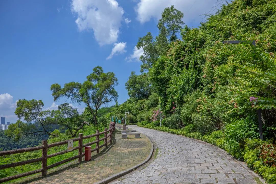深圳梅林水库绿道线路图,深圳首条手作步道