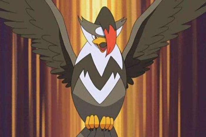 《宝可梦》姆克鹰依然是飞行系主要输出?不同特性不同线路?