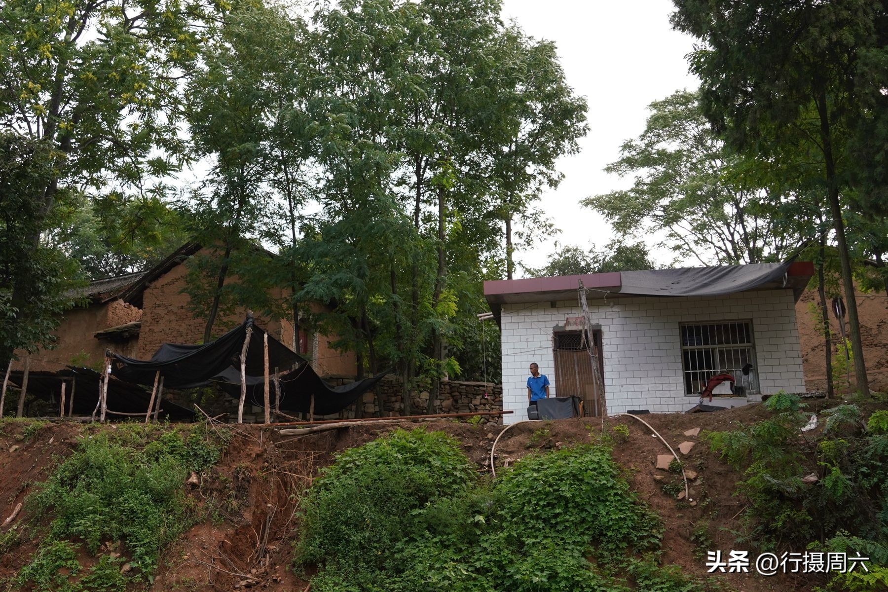 山村兄弟二人搭伙养羊，分配方法奇特，弟弟每年能分8只羊