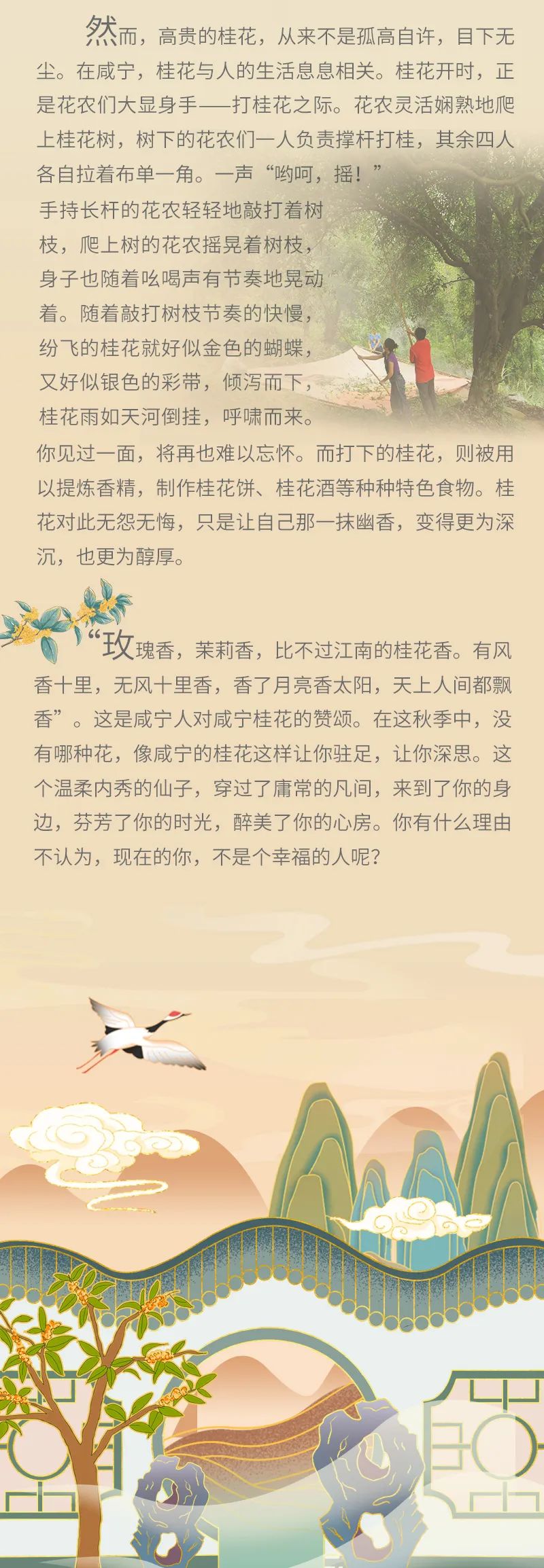 央视晚会送你一朵小红花,央视新闻送你一朵小红花央视片段