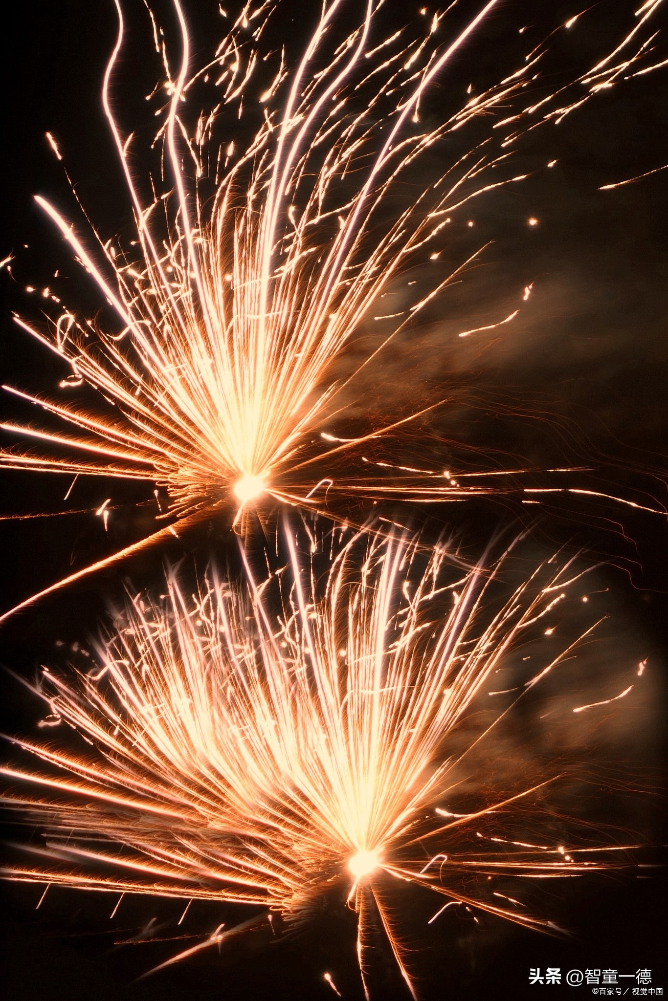 小小科学家研究记录,小小科学家探险全集