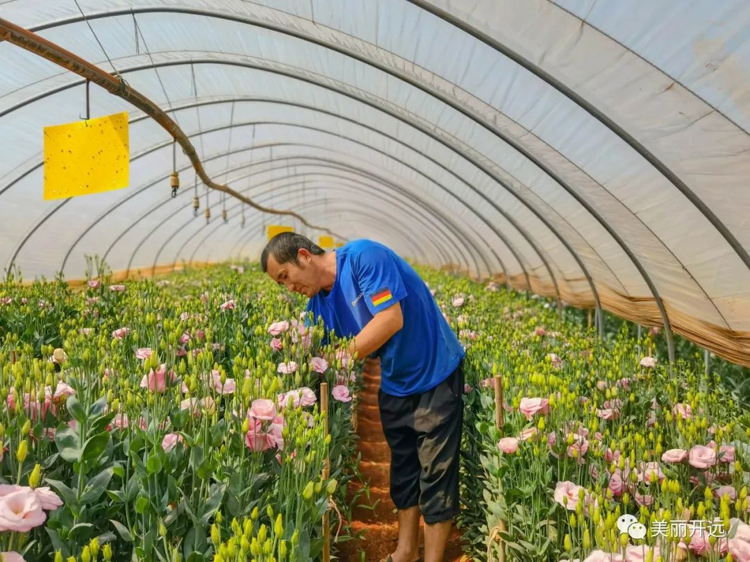 3年6000亿美元,3年赚60万什么水平