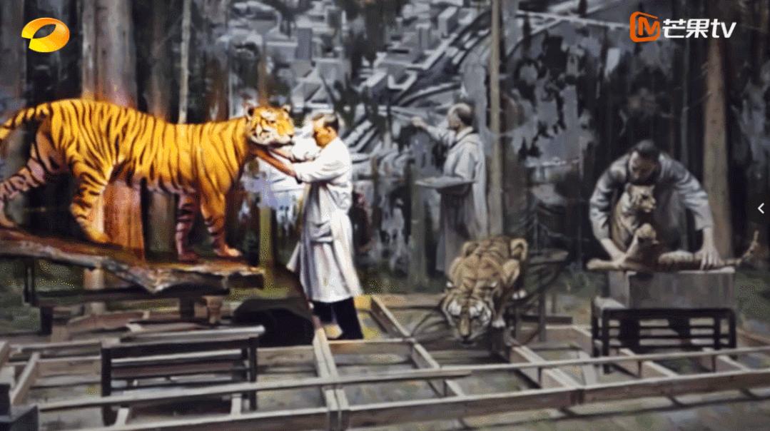 受不了,国综又刷新下限了!