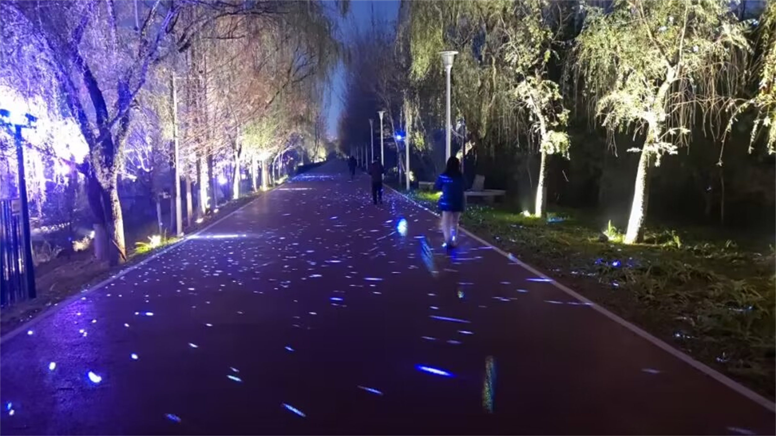 西安人工湿地公园,西安最好的湿地公园