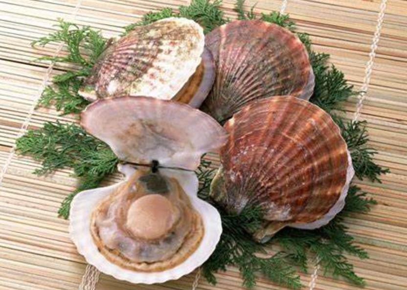 獐子岛亏损深层次原因,獐子岛2019年业绩反转