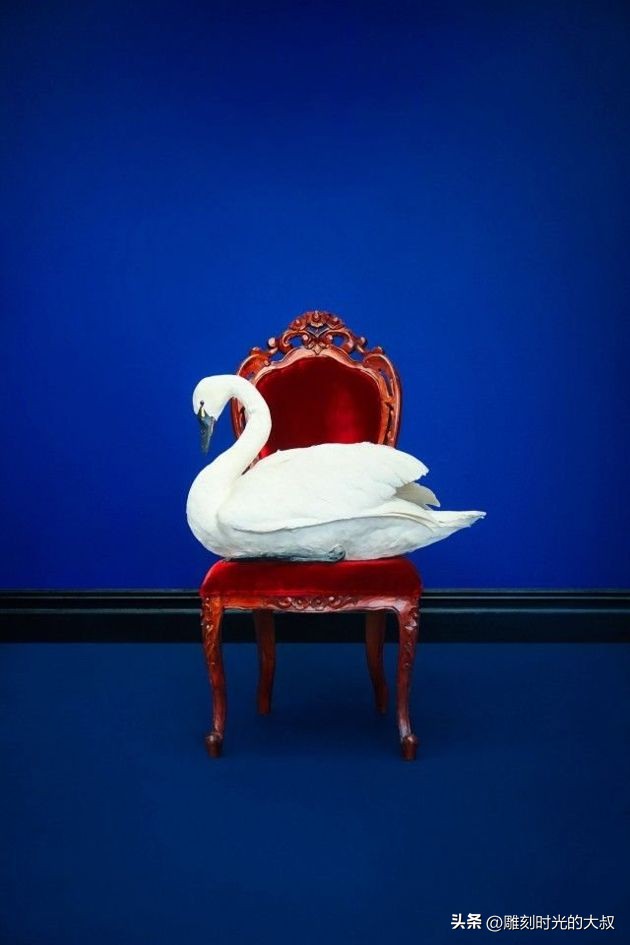 ai摄影师获奖,ai和摄影结合的摄影师