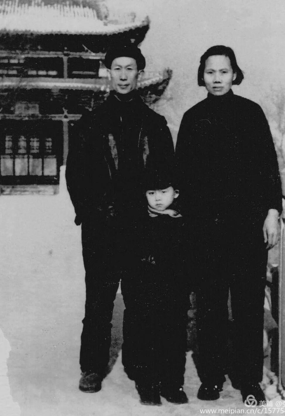 星光20集,星光全集