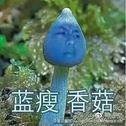 成语高手十大排行榜,中国十大国粹的成语