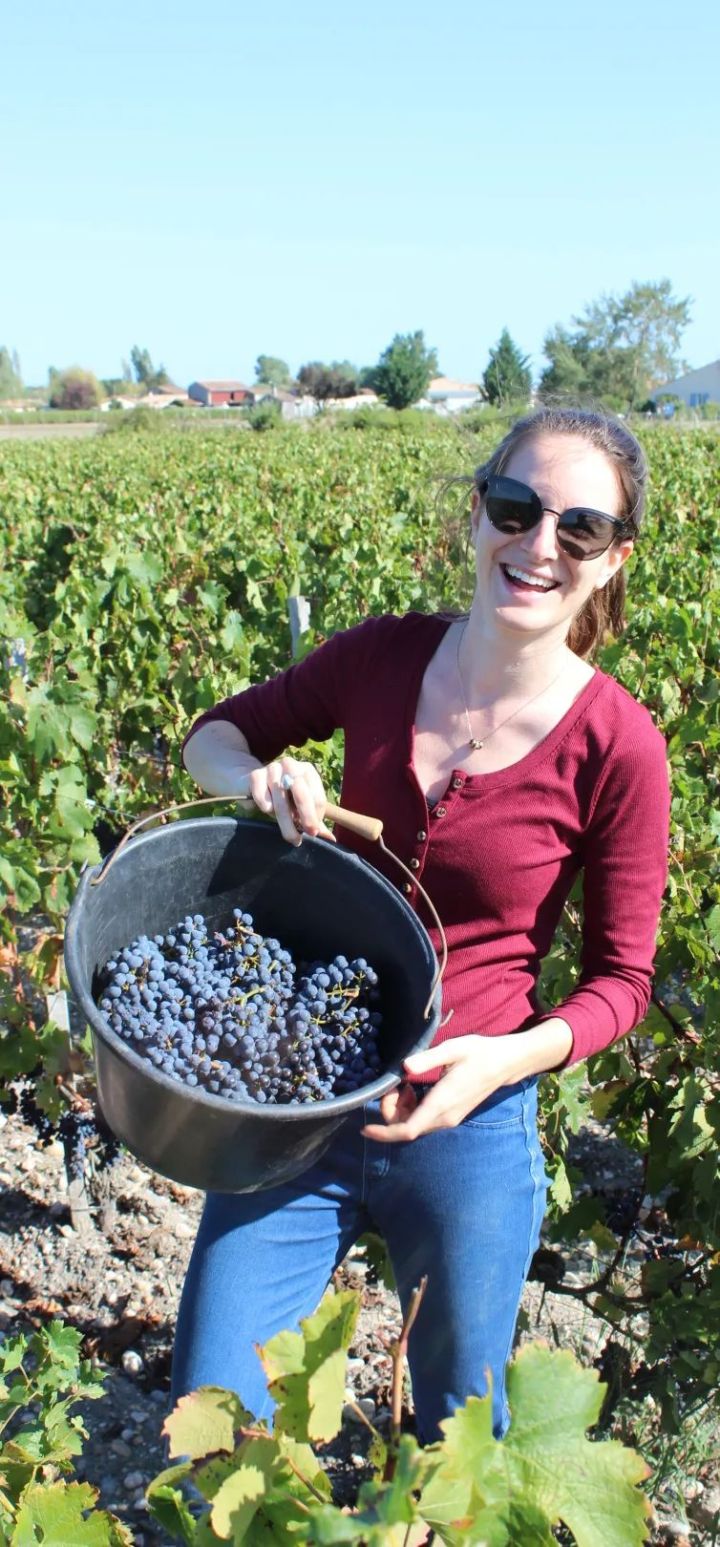 波尔家庄园干红,波尔家红酒价格查询