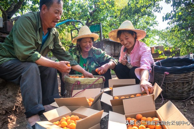 新型家庭农场的致富路,家庭农场的发展红利又将迎来高潮