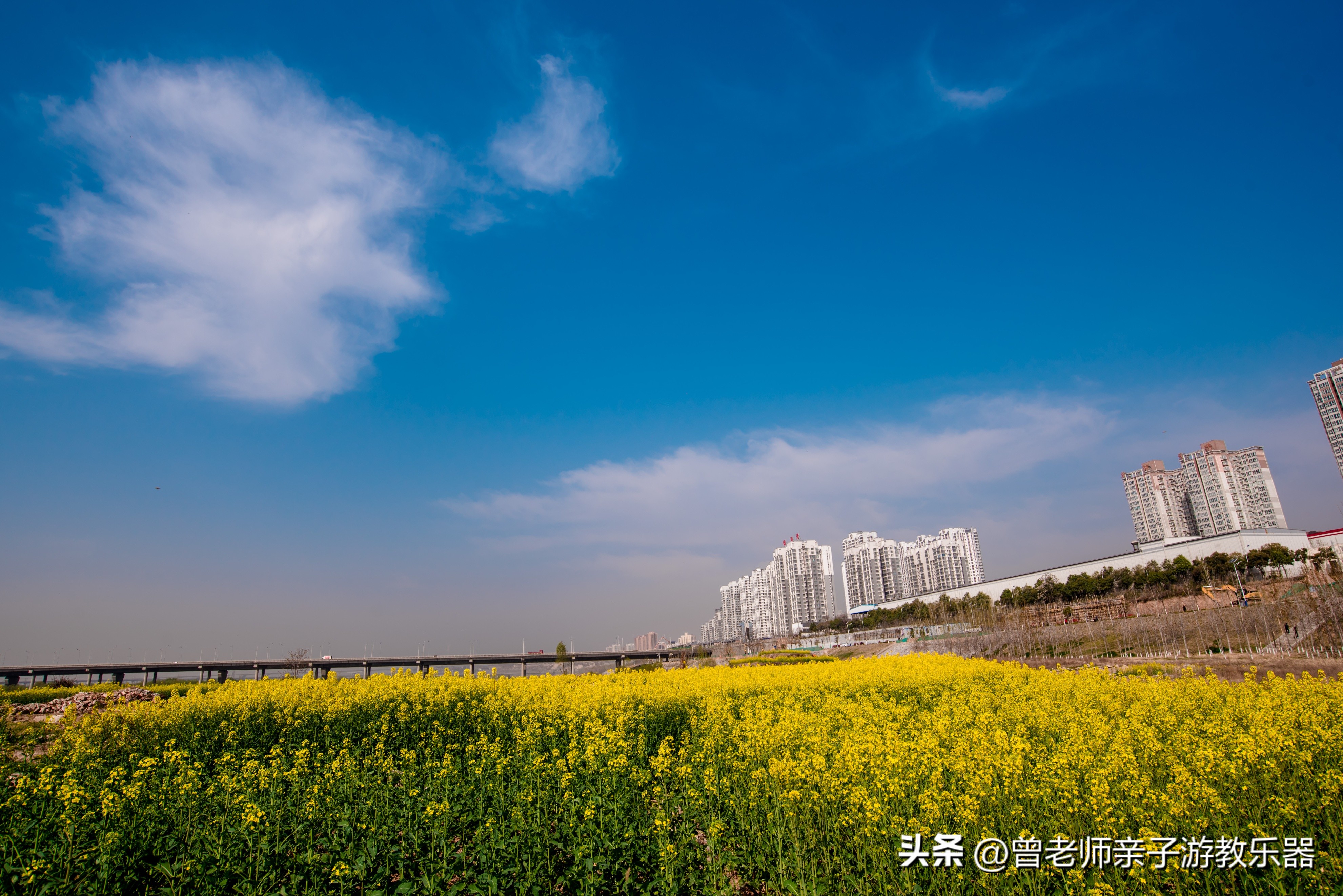 西安油菜花花海,西安看油菜花的地方都有哪些景点