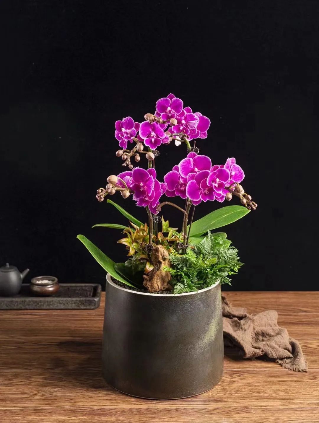 浼佷笟鏂版槬鑺辫壓甯冪疆鍥剧墖,浼佷笟鍥㈠缓鑺辫壓娲诲姩鏂规