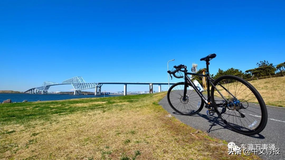 汪先恩,汪先恩访谈完整视频