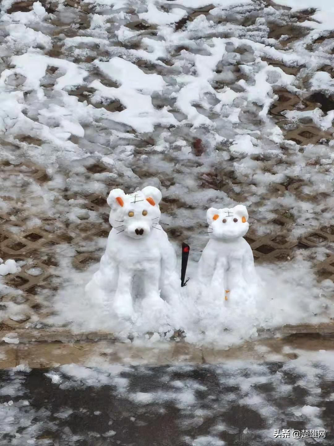 堆雪人创意大赛活动方案,堆雪人大赛活动