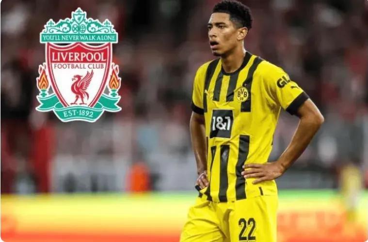 最新转会消息官宣,最新转会消息lpl