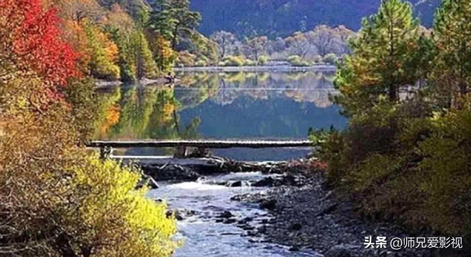 雅江松茸之乡完整视频,雅江松茸之乡山清水秀