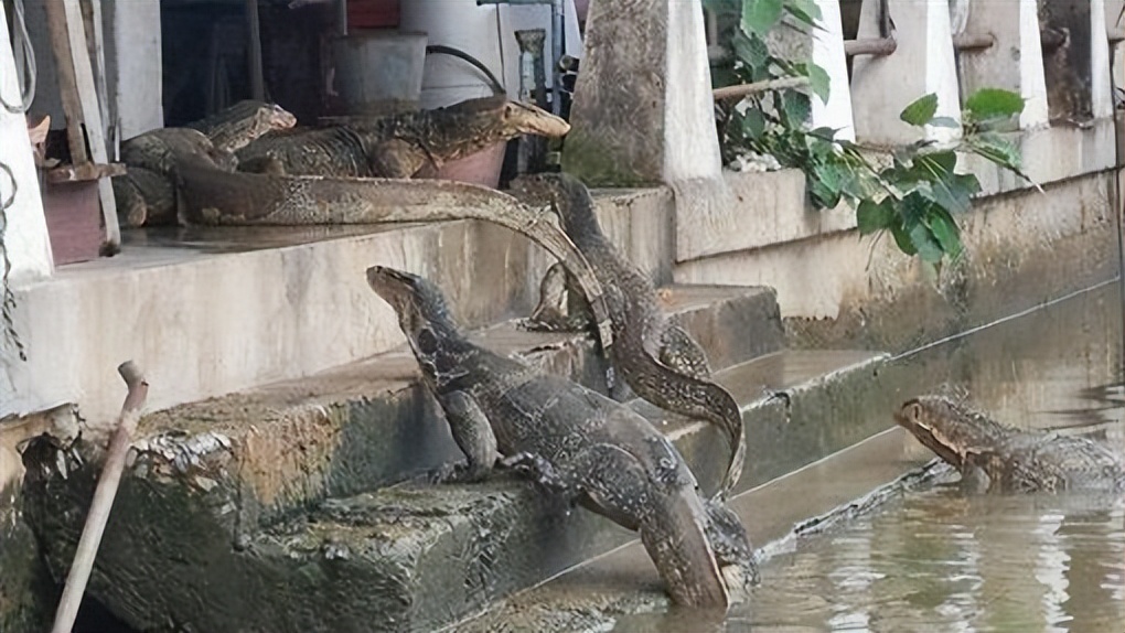 泰国高清图片大全,泰国旅游图片大全真实照片