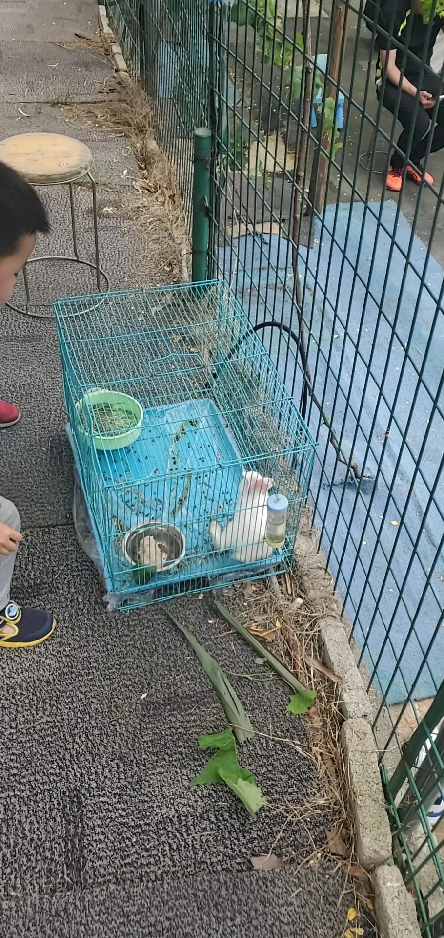 深圳踩坑亲子游之“女博士生态庄园”