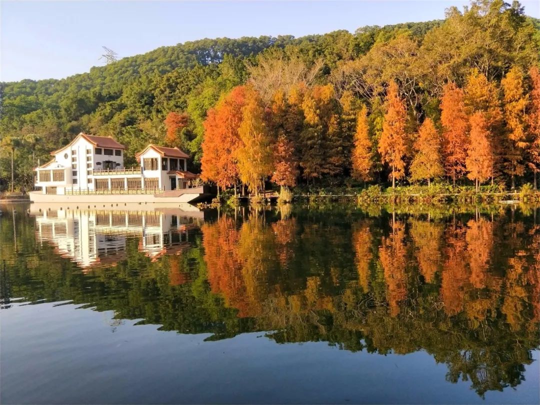 罗湖夜间游玩景点攻略大全,深圳罗湖八大必去免费景点室内