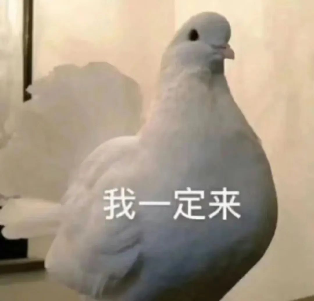 城市里最适合养老的房子,适合养老的小洋房