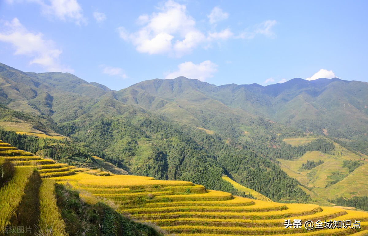 “琼东西”你了解多少，华南F3区别大盘点