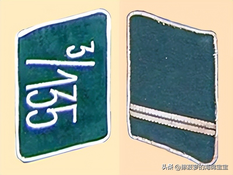 纳粹冲锋队用的什么枪,纳粹德军军衔图解