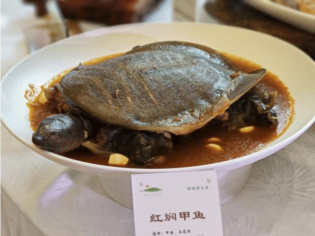 寻味黄河美食,郑州黄河美食最新