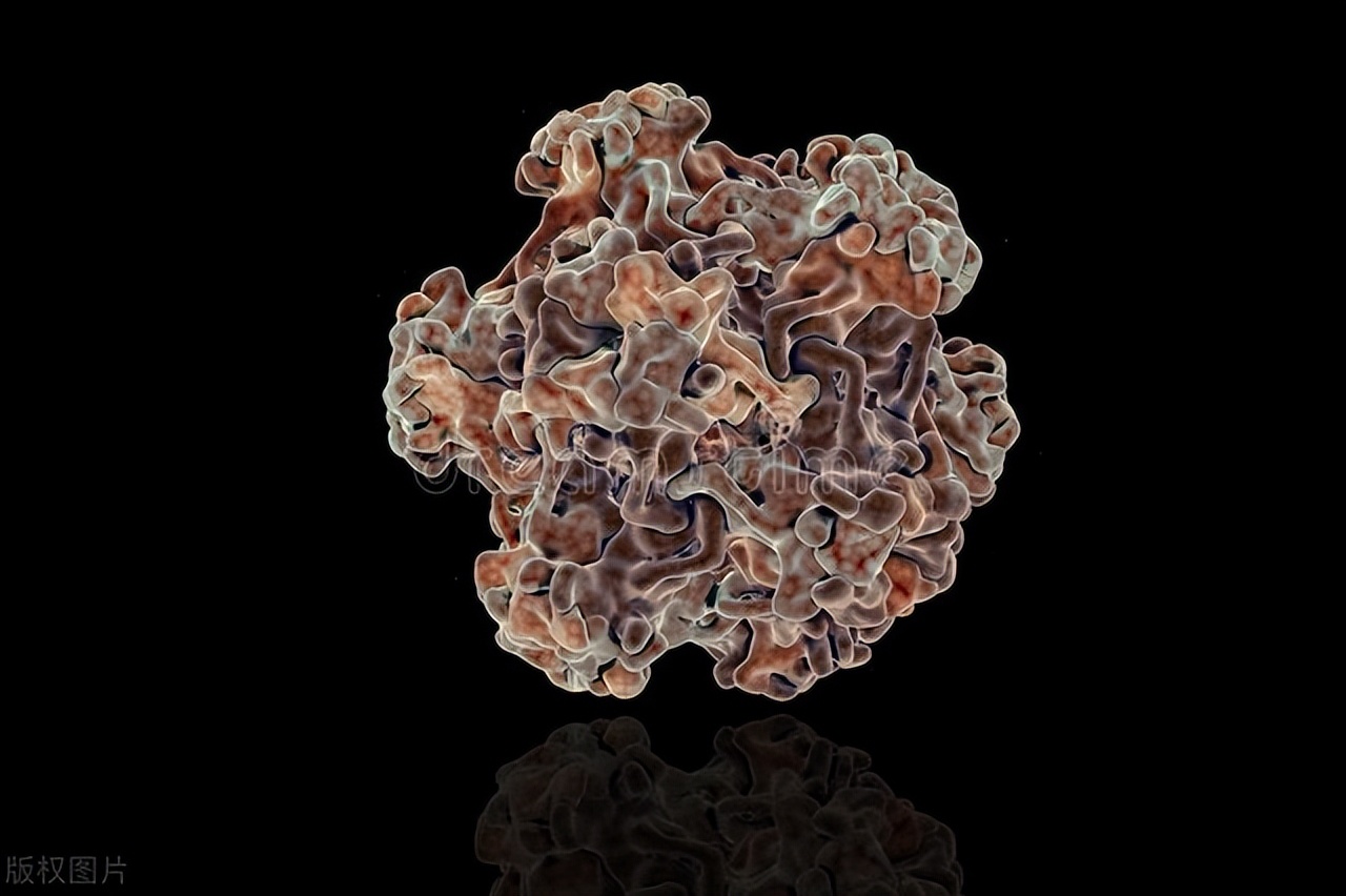 腋下长小肉粒是hpv感染吗,脖子有小肉粒去查hpv阴性啊