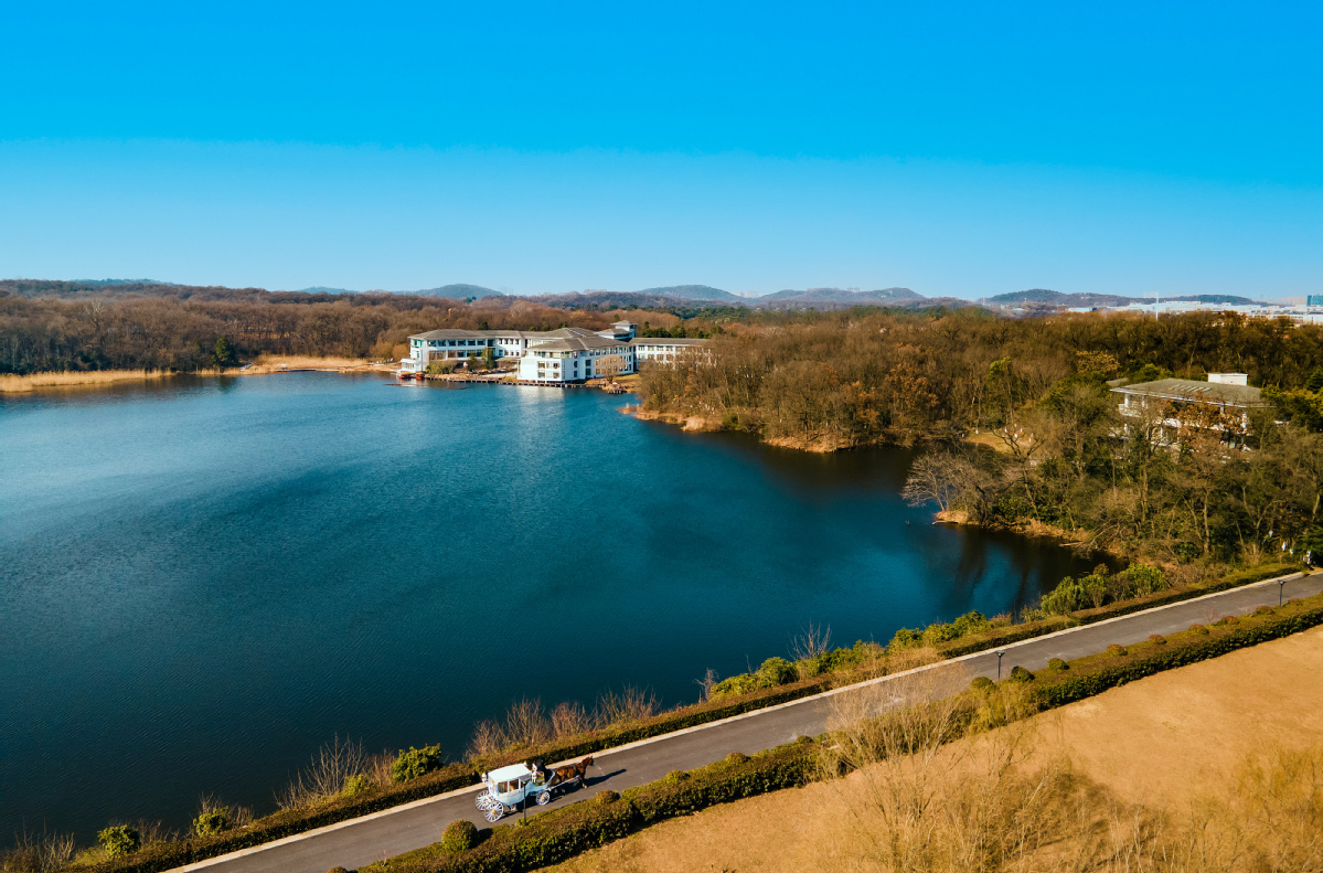 紫金山庄前景怎么样,紫金山庄未来发展