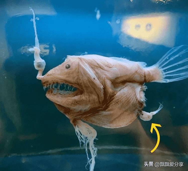 日军攻陷南京暴行纪实,日军侵华屠杀罪行