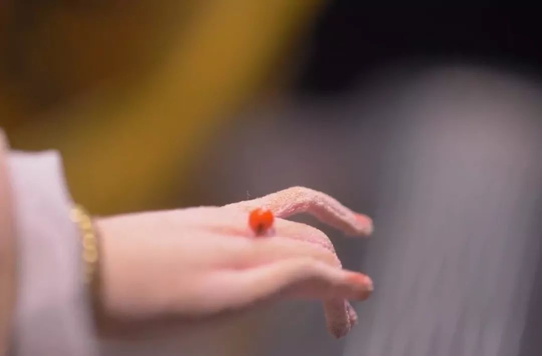 中国的芭比娃娃是谁,被人们称为真人芭比娃娃