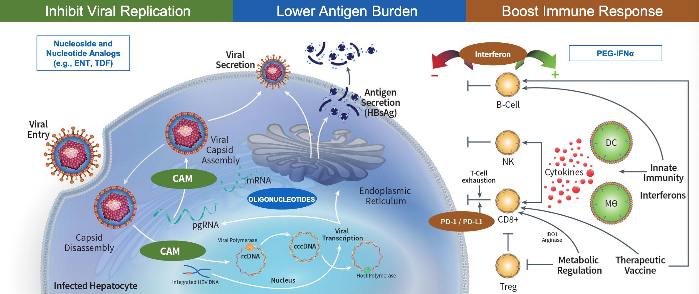 涔欒倽鏂拌嵂taf涓村簥璇曢獙,涔欒倽涓村簥鏂拌嵂2024