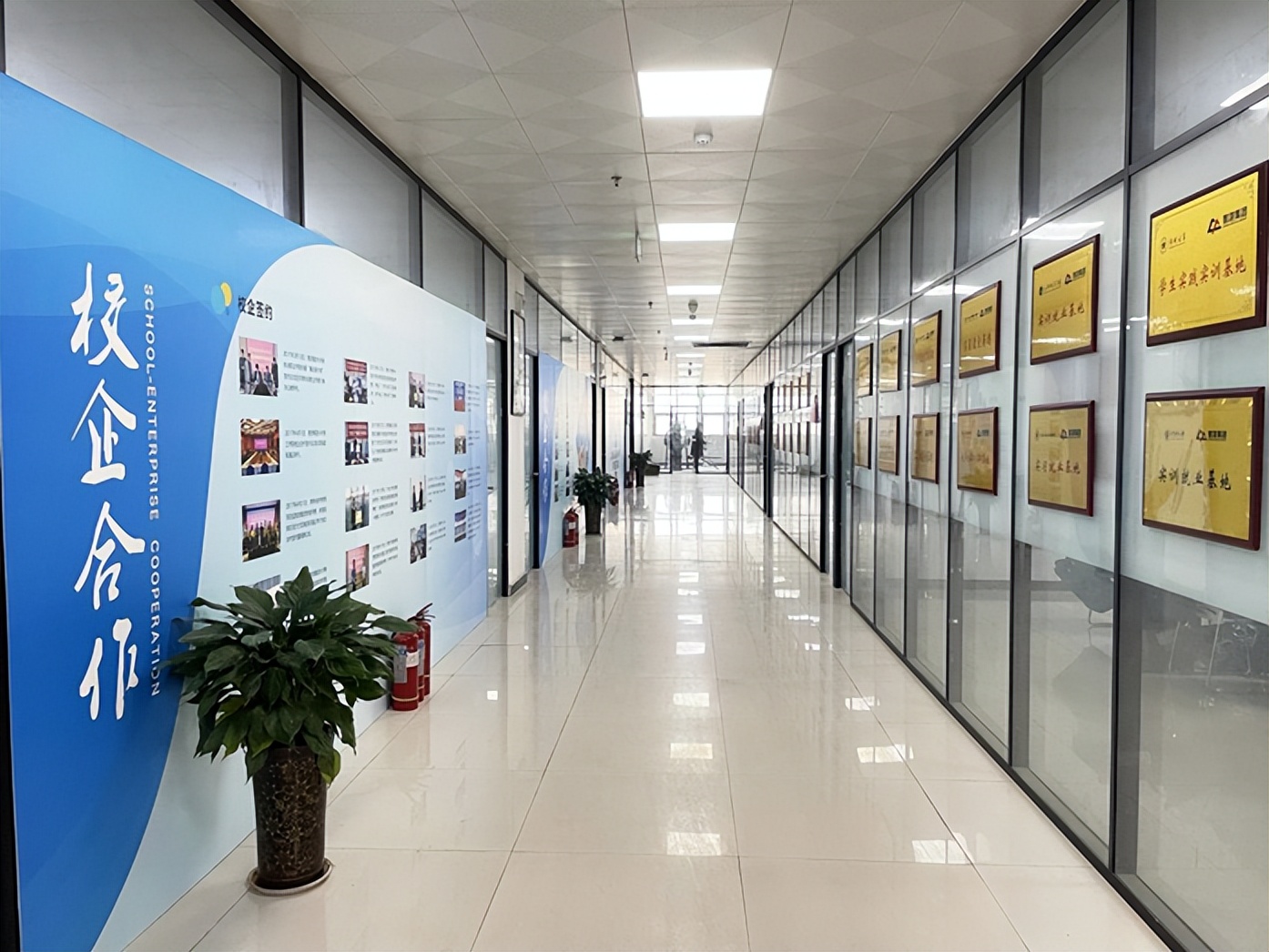 智游集团属于什么机构,智游集团简介