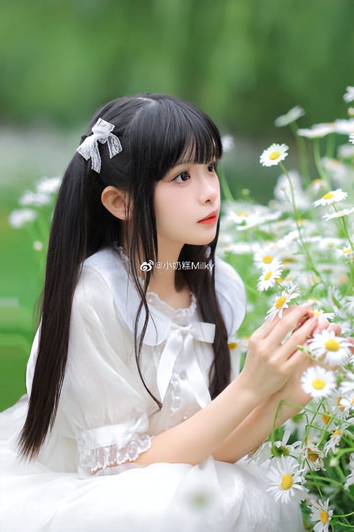 好小一只小可爱！小奶糕Milky