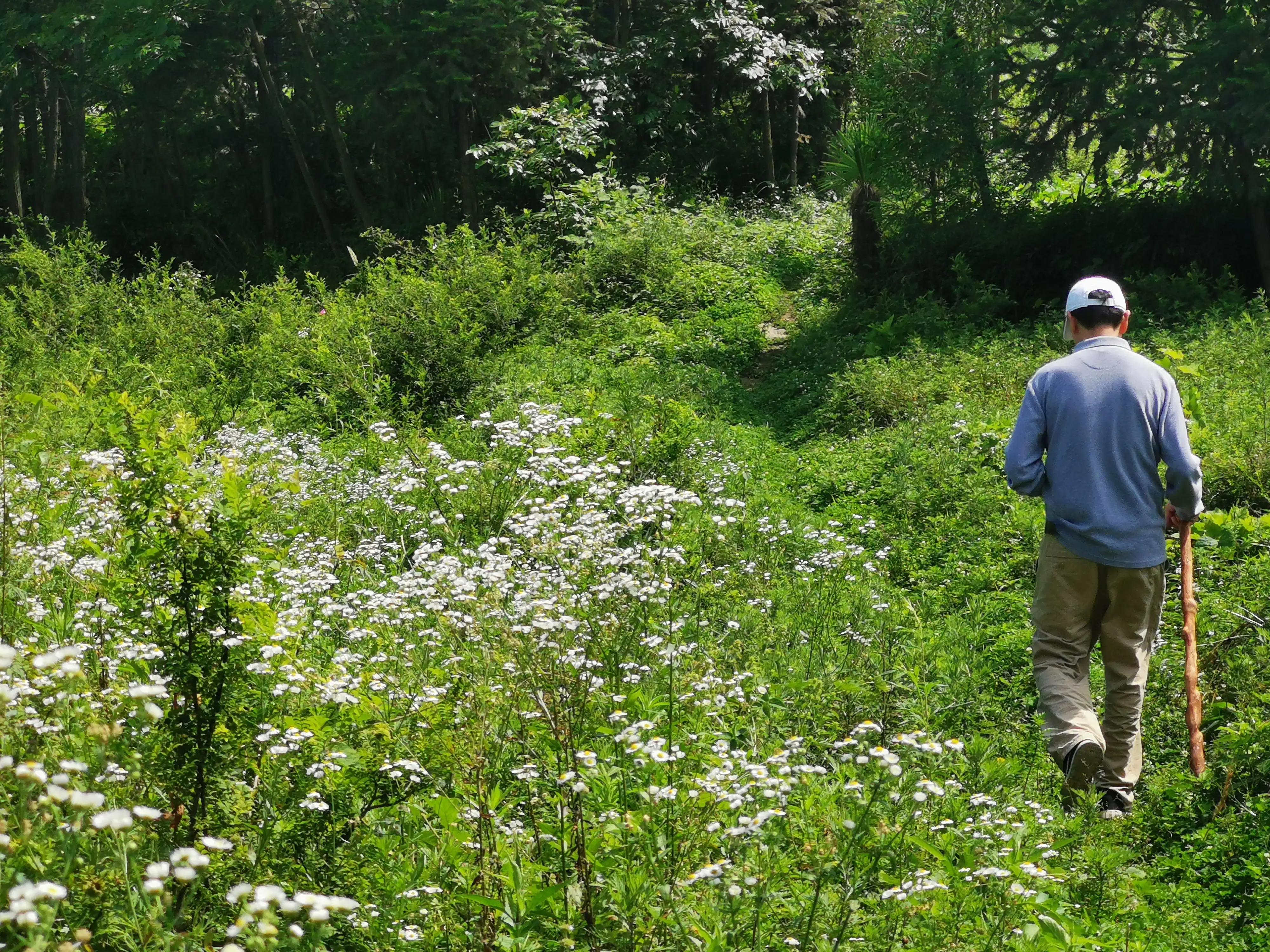 去贵州桐梓避暑哪里最好,桐梓包吃住避暑民宿