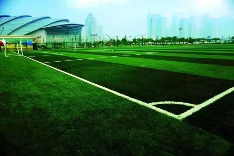 泰达2019世界杯,泰达世界杯