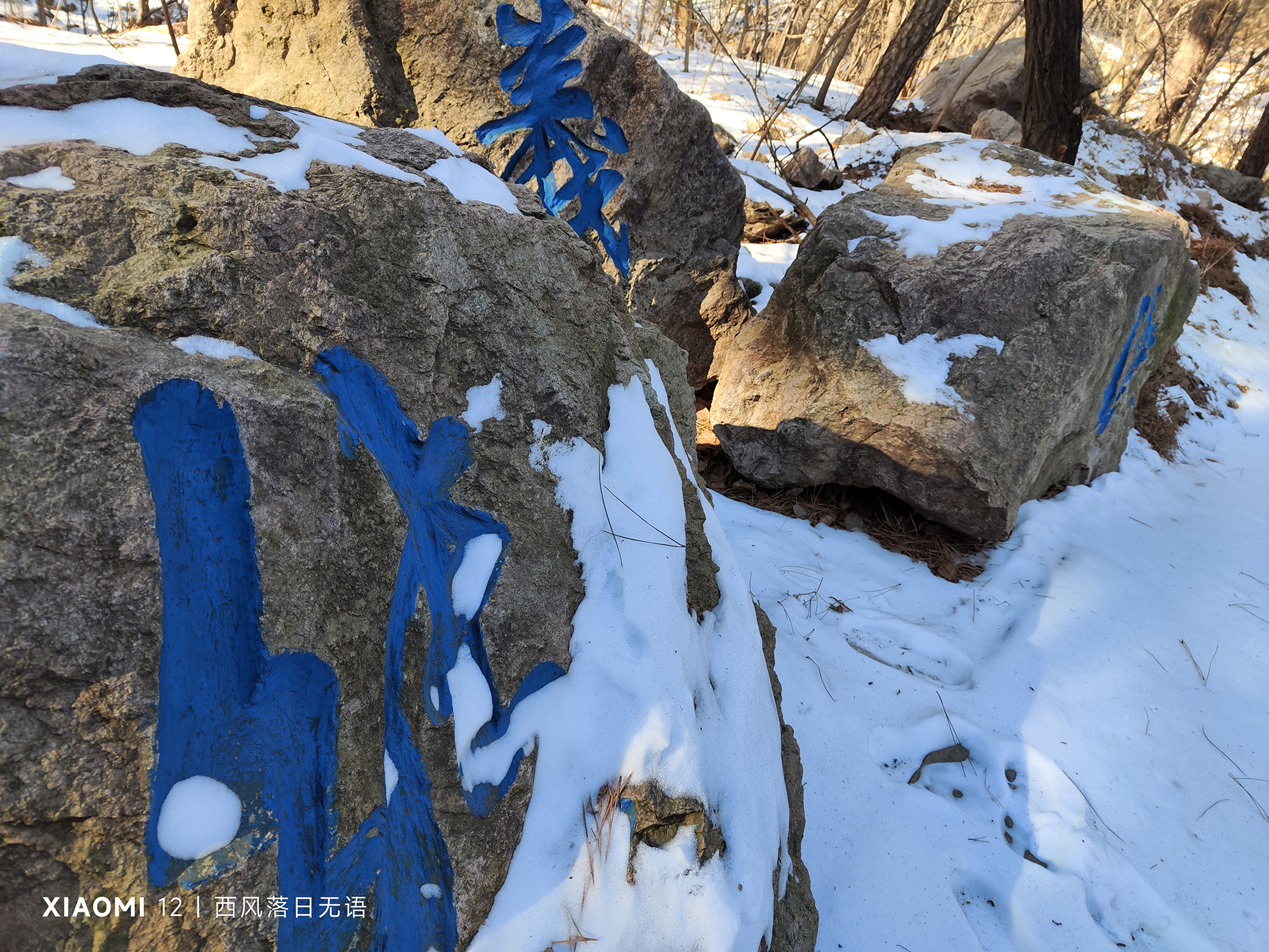 小米12值得现在入手嘛,小米12哪个更值得入手